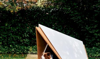 A empresa Ford criou casota de cão que bloqueia ruído