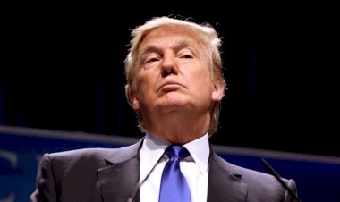 Trump lançará sua própria rede social