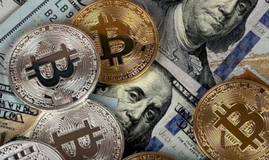 O fundador da moeda popular criptografia desapareceu com $2 bilhões