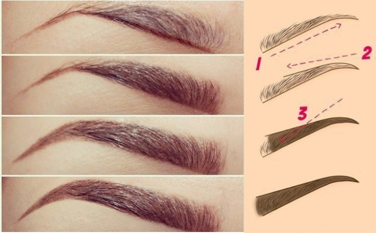 8 Dicas essenciais para ter sobrancelhas perfeitas